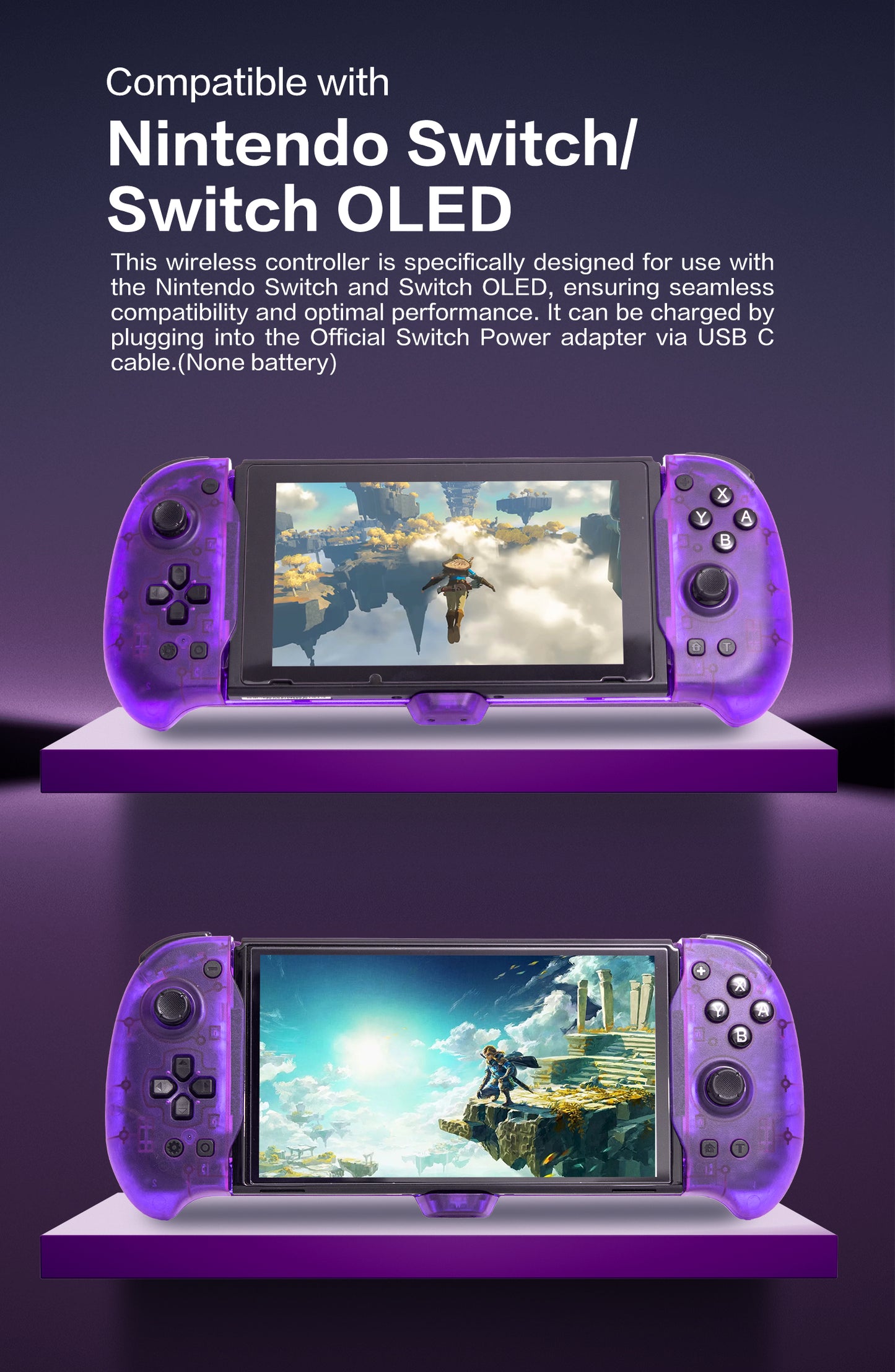 nintendo switch controller purple