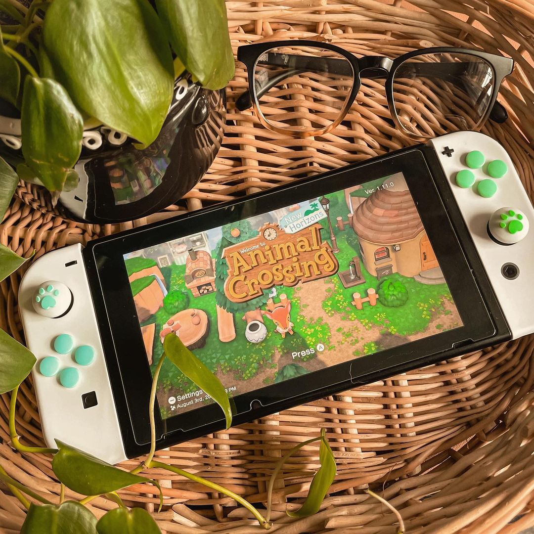 nintendo switch animal crossing accessories