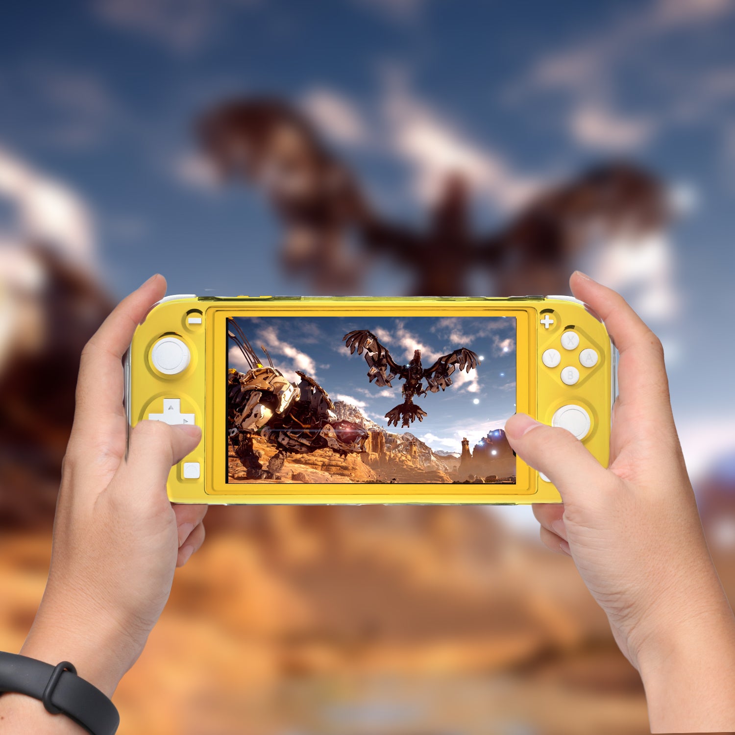 Protective Case for Switch lite with Stand – ECHZOVE